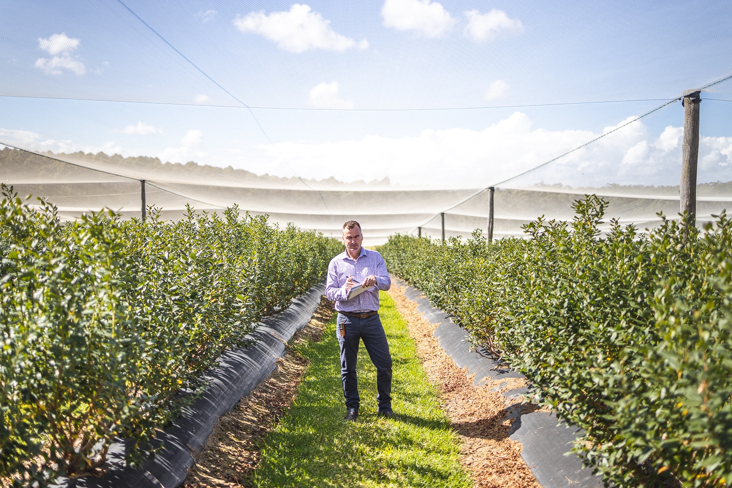 Horticulture & Orchard Property Valuation EXPERTS | Acumentis